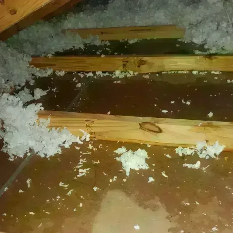 Attic Water Damage in Newtown, OH